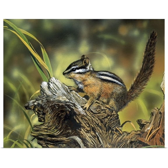 Great BIG Canvas | Rolled William Vanderdasson Poster Print entitled Chipmunk