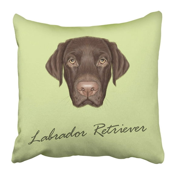 BOSDECO Black Lab Labrador Retriever Dog Portrait Illustrated of Chocolate on Green Brown Pillowcase Pillow Cover 16x16 inch