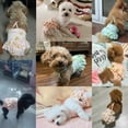 thumbnail image 6 of 2 Pieces Dog Diaper with Suspender Washable Sanitary Pantie Reusable Puppy Sanitary Pants Cute Pet Underwear Diapers Jumpsuits for Small Female Dogs Girl in Heat Period, 6 of 6
