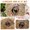 A, variant on Carpet,Home Dinosaur Floor Mats Bathroom Non-slip Mats Door Kitchen Floor Mats Carpet