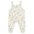 thumbnail image 2 of Disney Winnie the Pooh Eeyore Tigger Bodysuit and Overall Outfit Set Newborn to Infant, 2 of 5