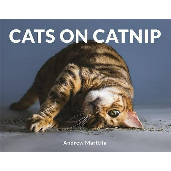 Cats on Catnip Andrew Marttila (Hardcover)