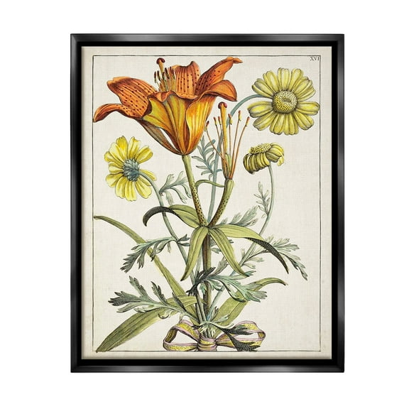 Stupell Industries Flowers Latin Study Botanical & Floral Painting Black Floater Framed Canvas Art Print Wall Art, 17 x 21