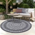 thumbnail image 5 of 6x6 FT/5x8 FT/8x10 FT/9x12 FT/9x18 FT Outdoor Rug for Picnic Washable Non-Slip Balcony Carpet Vintage Floral Rug Stain-Resistant Easy-Clean Plastic Area Rug for Patio Backyard Farmhouse Beach Camping, 5 of 8