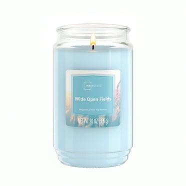 Mainstays Single-Wick Scented Glass Jar Candle, Wide Open Fields, 20oz.
