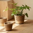 thumbnail image 5 of Flower Pot Seagrass Woven Planter Basket For Home Multiple sizes Available, 5 of 6