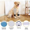 thumbnail image 4 of Manchon de Récupération pour Chiens, Coudières Élastiques pour Chiens, Soulage l'Anxiété pendant le(s) Récupération(s), 4 of 5