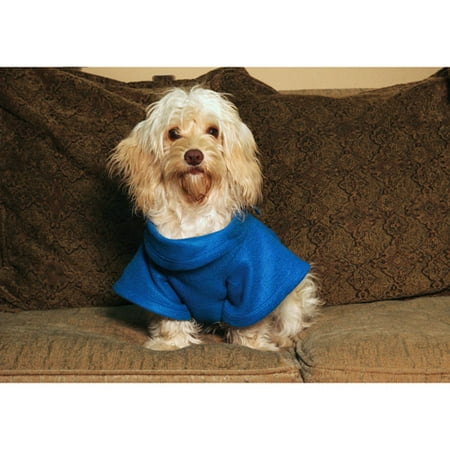 snuggie for dogs allstar sn161116 snuggie for dogs walmart snuggie for dogs allstar sn161116 snuggie for dogs walmart