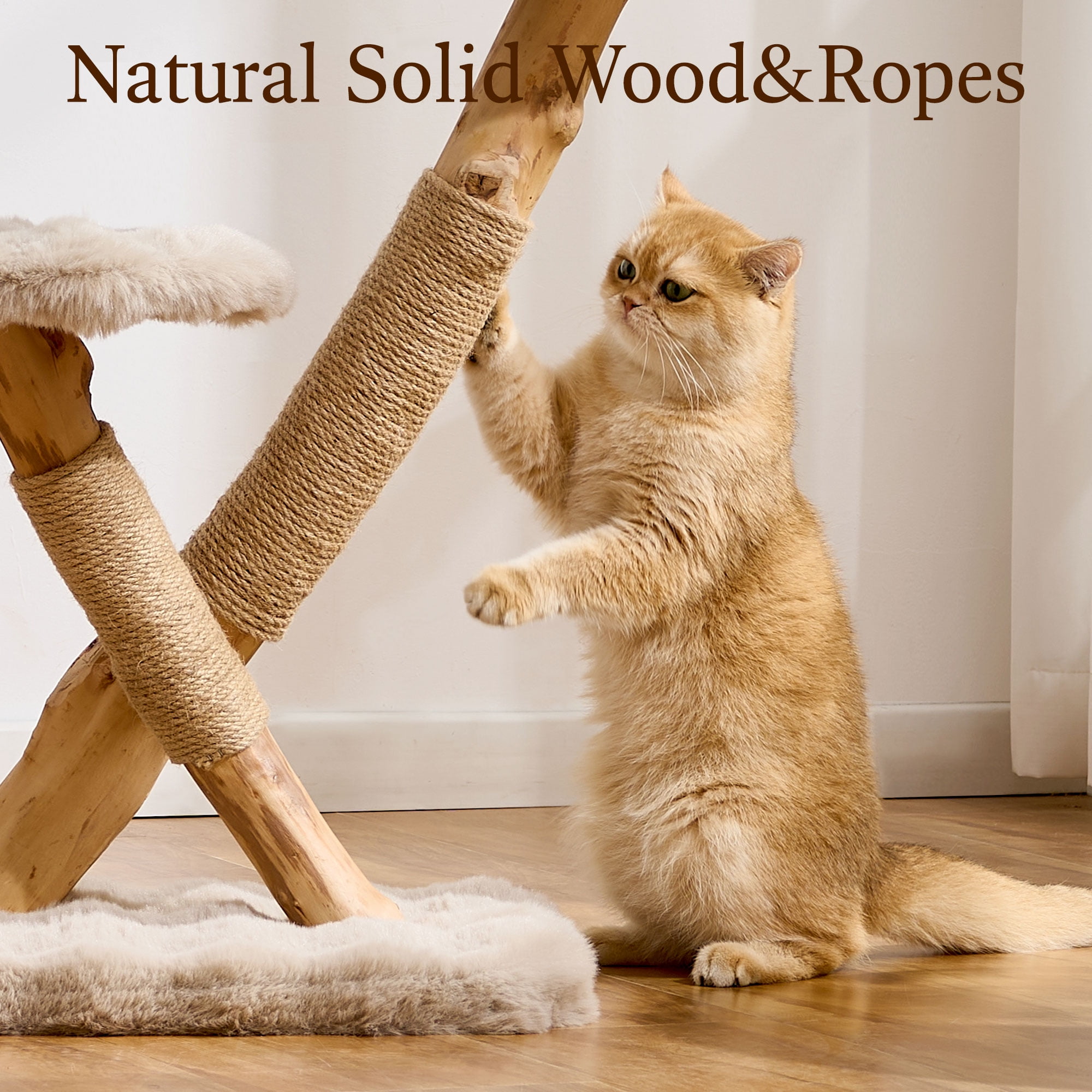 HITTITE Natural Solid Wood Cat Tree Tower with Scratching Post, 32 Inches Tall Modern Cat Tower with Cozy Bed and Platforms, Luxury Real Branch Cat Tree for Indoor Cats Large Adult, Khaki.