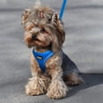 thumbnail image 6 of Fida Cat Harness and Leash Set for Walking Kitten and Puppy, Escape Proof Kitten Harness with Breathable Lightweight Soft Mesh, Adjustable Reflective Step-in Design for Kitten and Puppy.(XXXS, Blue), 6 of 7