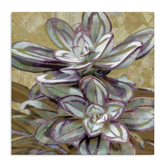 Stupell Industries Rustic Desert Succulents Plants & Flowers Painting Wrapped Canvas Art Print Wall Art, 17 x 17