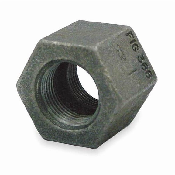 Anvil Hex Coupling Hex Coupling, 1" Pipe, FNPT, Cast Iron, Class 125 0300147998