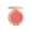 C, variant on FcBaudy Lipstick for Women, Lip Stain, Lip Gloss 6 Colors Matte High-gloss Blush Rouge-border Nude Makeup Repair Powder The Complexion Blush makeup brush