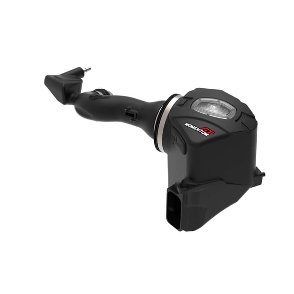Momentum GT Cold Air Intake System w/ Pro DRY S Filter