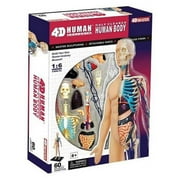 Tedco Toys 26085 4D Human Anatomy Half Cleared Human Body