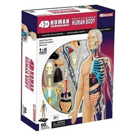 Tedco Toys 26085 4D Human Anatomy Half Cleared Human Body