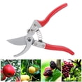 thumbnail image 5 of Xirurus Garden Agricultural Pruning Shears Fruit Tree Branch Trimming Pruner Garden Hand Tools Red 11.0x3.9x1.2 inches / 28.0x10.0x3.0 cm High-Carbon Steel Professional Sharp Scissors, 5 of 9