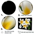 thumbnail image 3 of Designart "Purity In Plumeria Dreamscape" Plumeria Floater Framed Wall Art Prints, 3 of 5