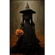 thumbnail image 1 of Pintura en lienzo de estilo gótico victoriano para decoración de la habitación, póster Retro, Cuervo, bruja, murciélago, Calavera, Academia oscura, regalos de Halloween, 1 of 4