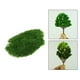 thumbnail image 4 of Planta de Artificial hierba jardín decoración para DIY Material de flores jardín Micro accesorios de paisaje - Miniatura DYNWAVEMX diorama de hierba en miniatura, 4 of 8