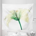thumbnail image 1 of Flowers Tapestry, Soft Colors Vintage Garden Botanical Illustration of Blooming Lily Petals, Fabric Wall Hanging Decor for Bedroom Living Room Dorm, 5 Sizes, Jade Green and Ivory, by Ambesonne, 1 of 1