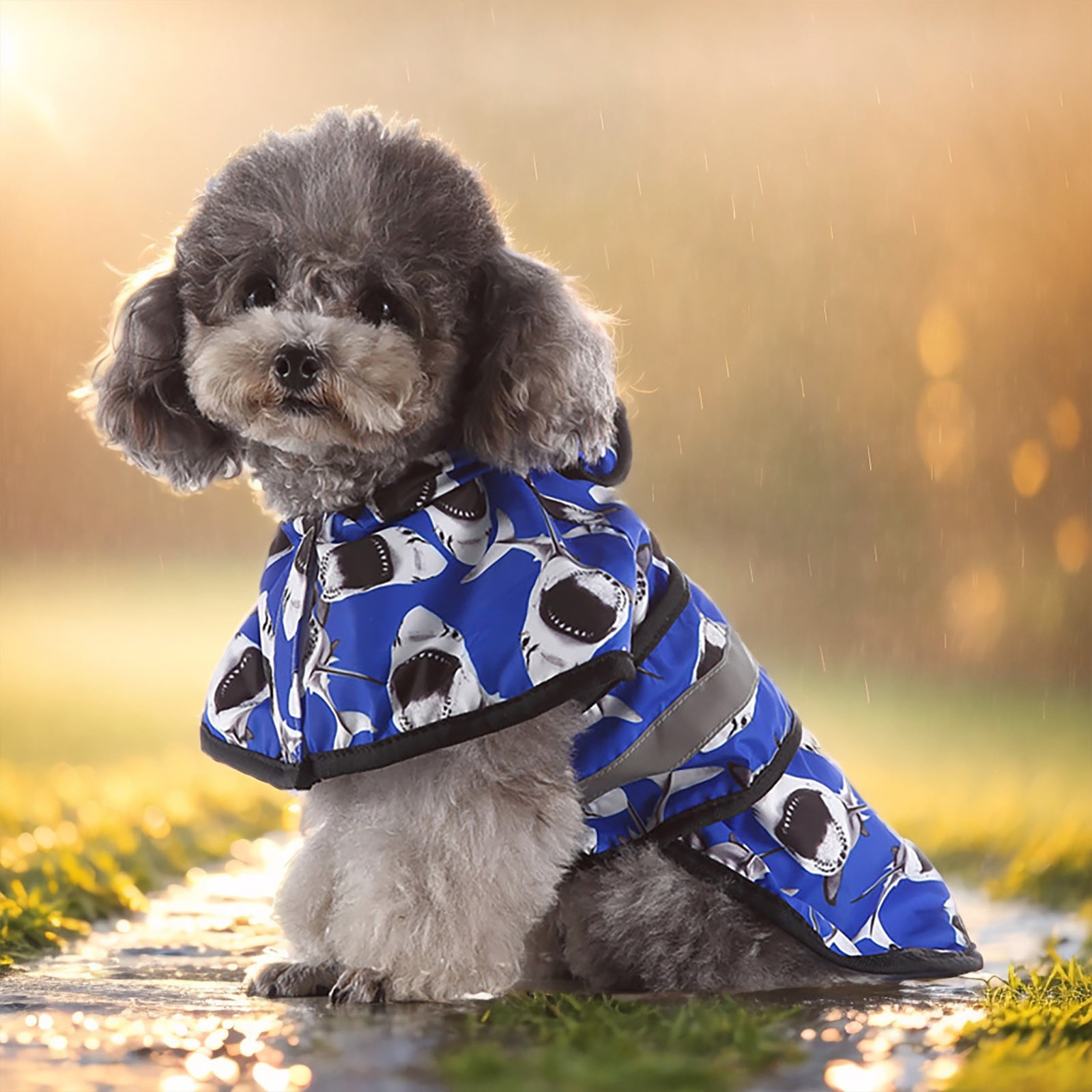 Pet Raincoat Large And Small Dogs Raincoat Reflective Stripes - Main Image