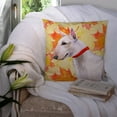 thumbnail image 3 of Carolines Treasures BB9954PW1414 Bull Terrier Fall Fabric Decorative Pillow  14Hx14W multicolor, 3 of 4