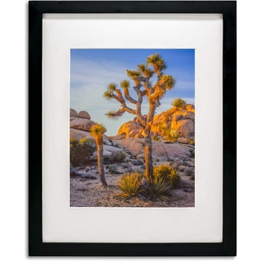 Black Solid Wood 16x20 Picture Frame with Tempered glass for Photo size 11x14 or 16x20 Poster Frame horizontal/vertical display