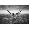 thumbnail image 2 of Fabrowski, Robert 24x17 Gold Ornate Wood Framed with Double Matting Museum Art Print Titled - Majestic, 2 of 4