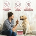 thumbnail image 3 of Special Breed Cardio Support for Dogs - Heart Health Support with Taurine, CoQ10, Organic Hawthorne Berry, Powder Supplement, 240 Scoops, 6.28 oz, 3 of 8