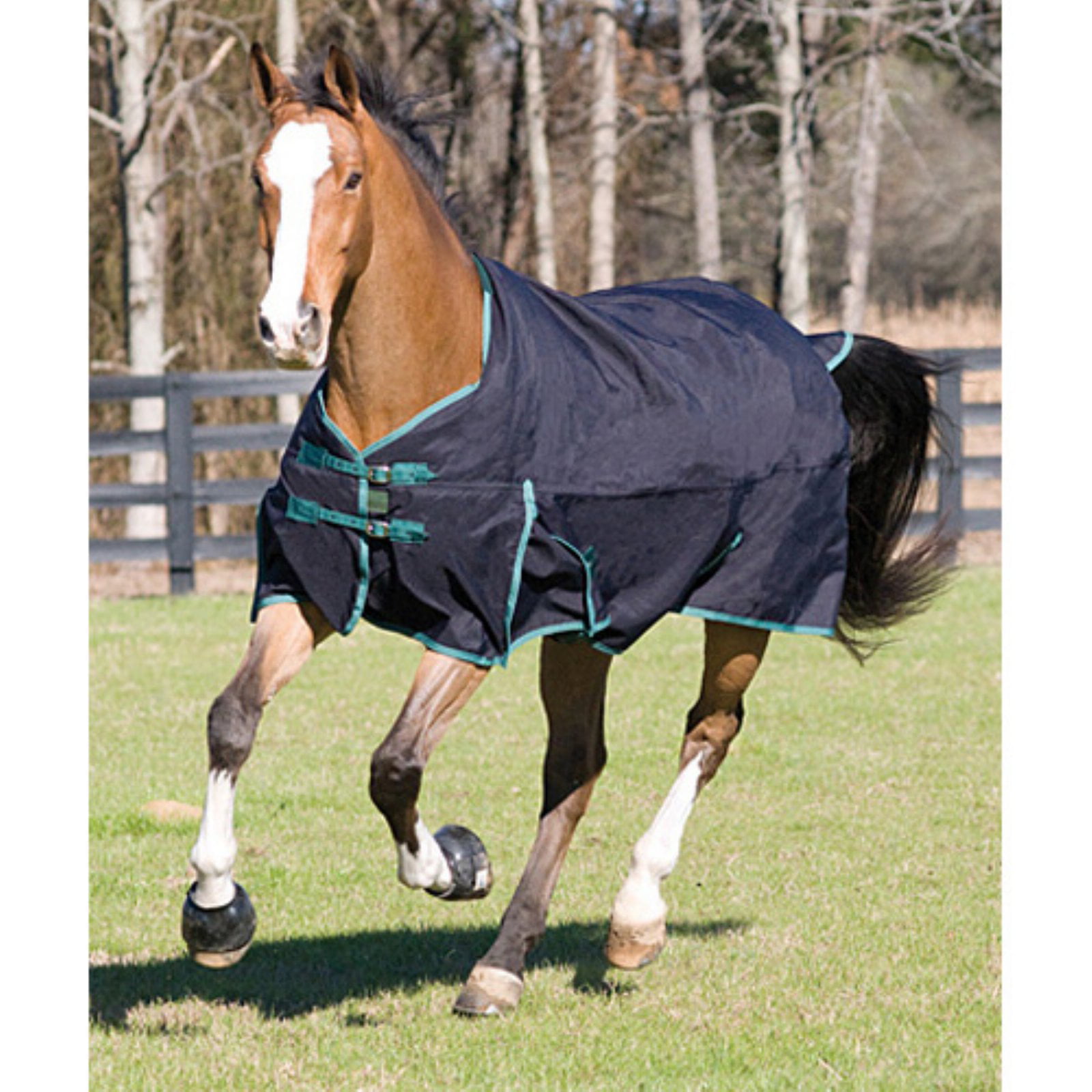 600D Turnout Waterproof Horse WINTER BLANKET-NAVY-SIZE 70" TO 82" 