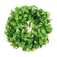 thumbnail image 2 of Plantas artificiales verdes con pequeñas bayas rojas y hojas verdes en un anillo decorativo., 2 of 6