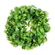 thumbnail image 2 of Plantas artificiales verdes con pequeñas bayas rojas y hojas verdes en un anillo decorativo., 2 of 6