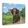 thumbnail image 2 of Hunting Asian Elephant on River Print Animal Wall Art Wildlife Canvas Prints Wall Art Ready to Hang Unframed, 2 of 18