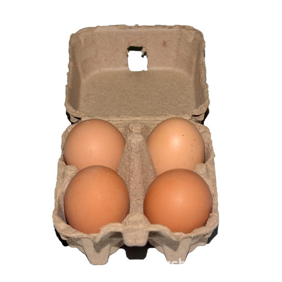 VMWMSSR 4 Cavity Paper Egg Carton Recycled Paper Egg Holder Container Disposable Natural Kraft Egg Tray For Farm Fresh Egg Storage Bakery Craft Packaging(Khaki-11x11x8cm)