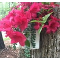 thumbnail image 4 of Homestyles Grandma "Violet" Muggly Face Garden Statue Tree & Patio Wall Planter, 4 of 6