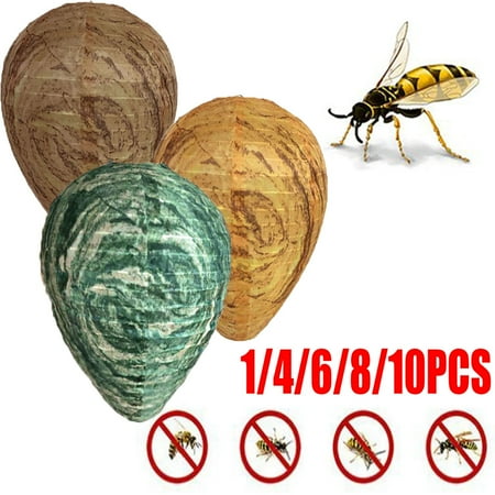 6PCS Wasp Nest Decoy Fake Trap Wasp Deterrent for Hornets Outdoor  Waterproof Material for Home and Garden Outdoors