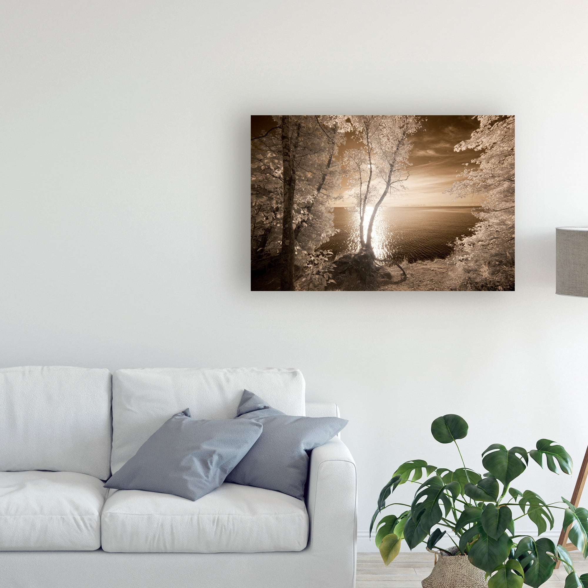 Trademark Fine Art 'Trees Framing Lake' Canvas Art by Monte Nagler