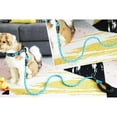 thumbnail image 2 of Correa de cuerda resistente para perros Correa grande con asa cómoda Correa para perros Correa de cuerda pequeña y pesada para perros, 2 of 6