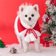 thumbnail image 6 of Funny Doge Cat Christmas Costume Santa Cosplay Pet Christmas Cape Dress Up Clothes Warm Red Scarf Cloak With Hat Pet Accessories, 6 of 7