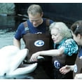 thumbnail image 4 of Betty White: Champion for Animals, 4 of 5