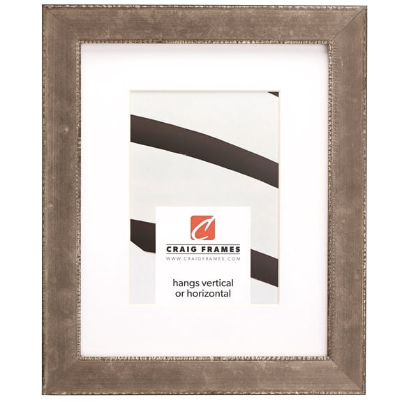 Craig Frames Patina 125, 20x26 inch Silver and Black Picture Frame Matted for a 16x22 Photo