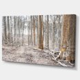 thumbnail image 2 of Forêt Dense en Hiver Photographie - Art Moderne sur Toile de Forêt, 2 of 3