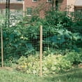 thumbnail image 2 of Dalen Plastic Fences-Transparent Netting for Garden Borders-3′x50′-Gray, 2 of 8
