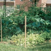 Dalen Plastic Fences-Transparent Netting for Garden Borders-3′x50′-Gray
