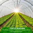 thumbnail image 3 of Farm Plastic Supply - Clear Greenhouse Plastic Sheeting - 6 mil - 1 Year UV Resistant Polyethylene Greenhouse Film, Hoop House Green House Cover for Gardening, Farming, Agriculture (15' x 40'), 3 of 5