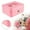 Pink, variant on Hewann Safe Lock Box Metal Lock Box with Removable Tray - Secure Key Storage Organizer for Small Business, Home & Office Use, Multiple Colors Available