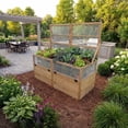 thumbnail image 4 of Outdoor Living Today Raised Garden Bed with Mini Greenhouse Western Red Cedar 6x3 1-Pack, 4 of 11