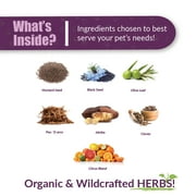 Amber NaturalZ Reptaid XL Immune Support for Small Reptiles | For Reptiles Over 250g 1oz