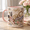 Black, variant on Soap Maker Mug with 3D Effect Personalized Name Pastel Floral Gift for Soap Makers